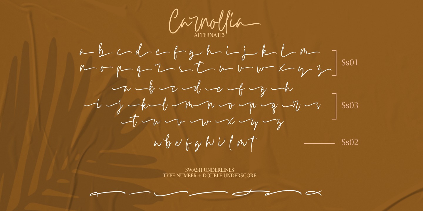 Пример шрифта Carnollia Signature #3